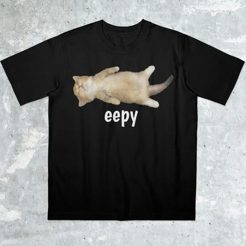 Eepy Cat, Silly Sleepy Cat Unhinged Sarcastic Humor Meme T-Shirt