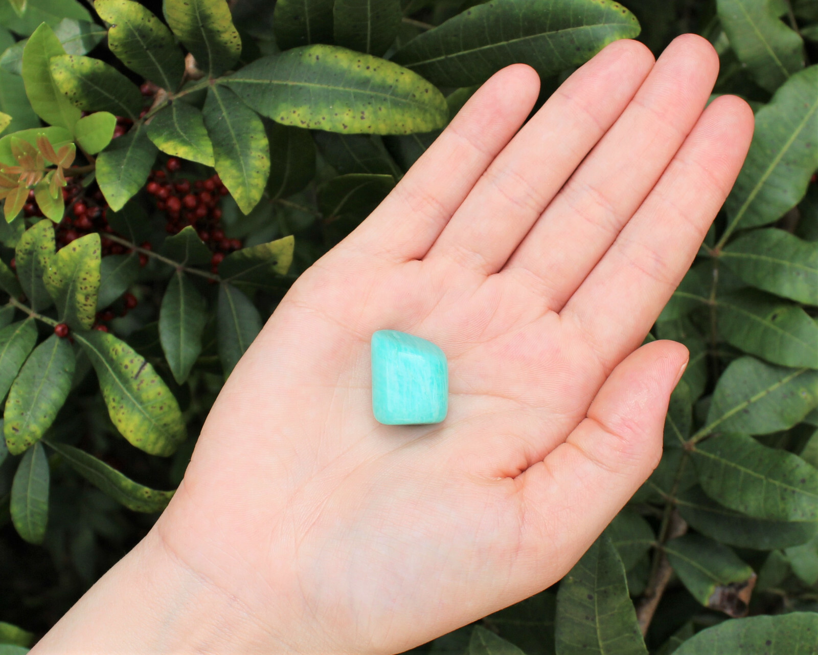 1 x Tumbled Stone Crystal: Choose From 130+ Types (Polished Gemstones)