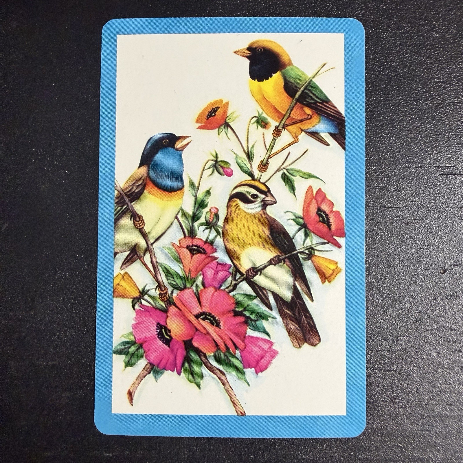 VTG Colorful Songbird Single Swap Playing Card VTG Colorful Songbird Single Swap Playing Card