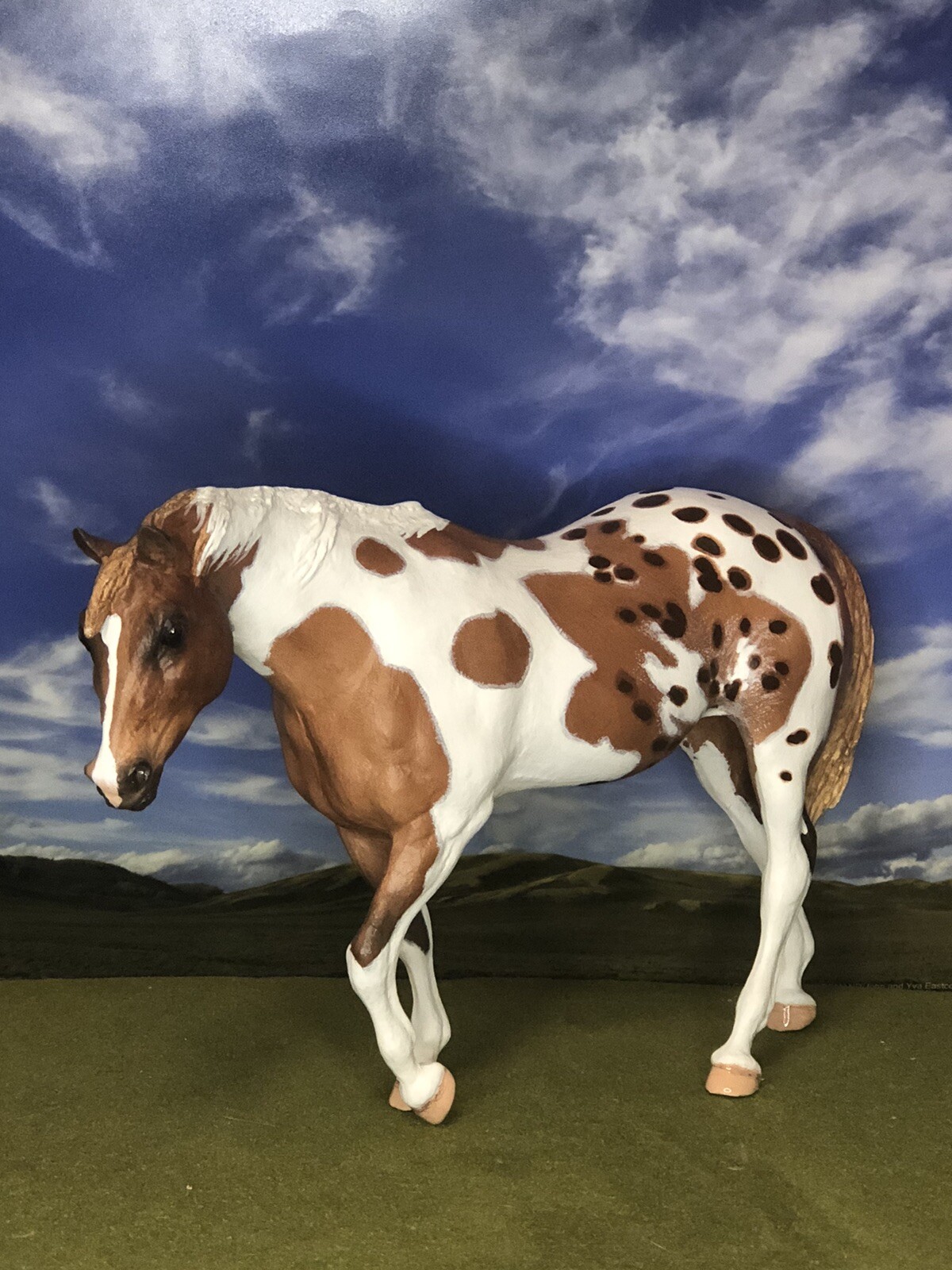 OOAK Breyer cm Custom Horse Indian Pony Pintaloosa *+*Stunning*+*