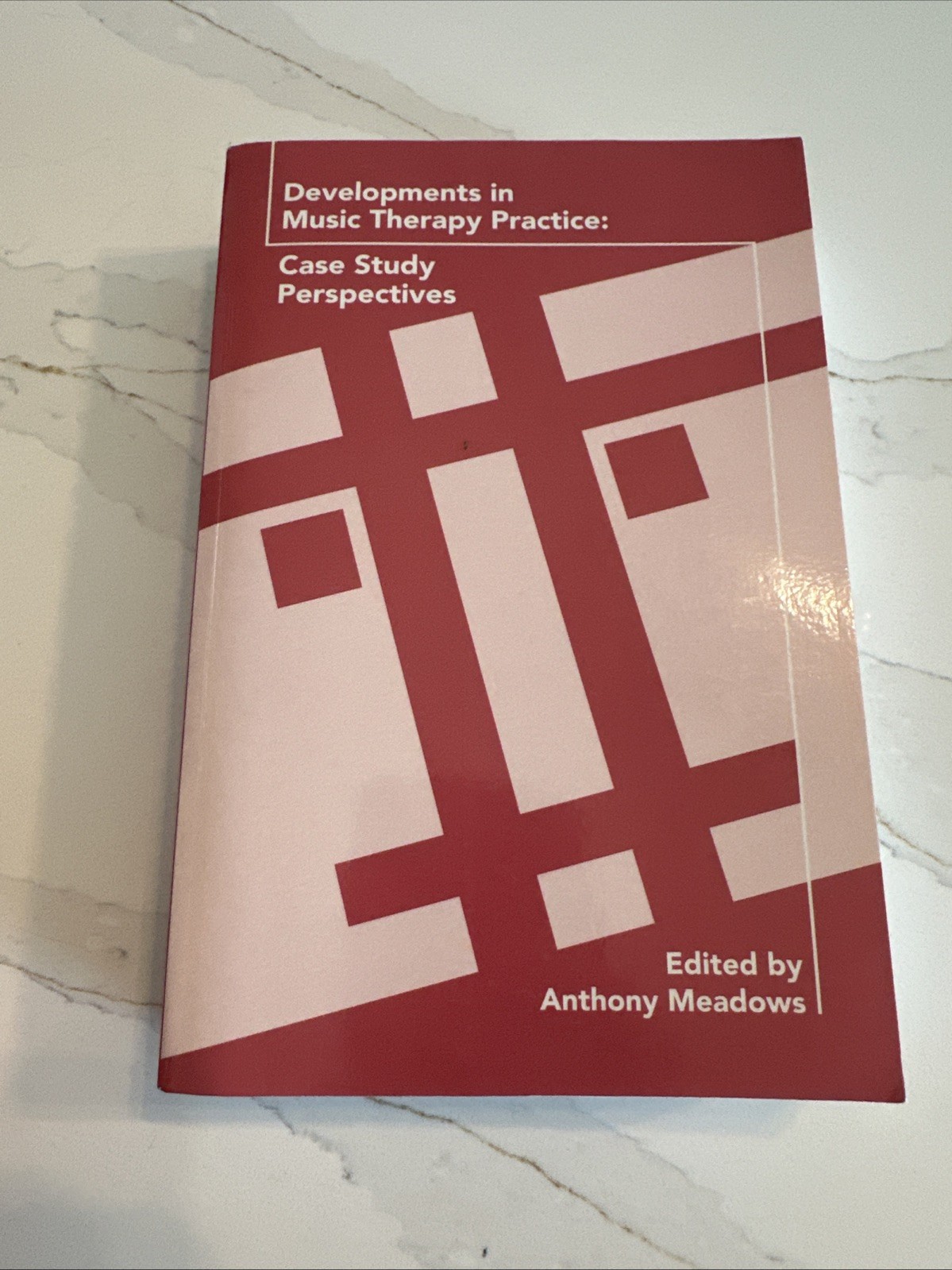 Developments in Music Therapy Practice : Case Study Perspectives