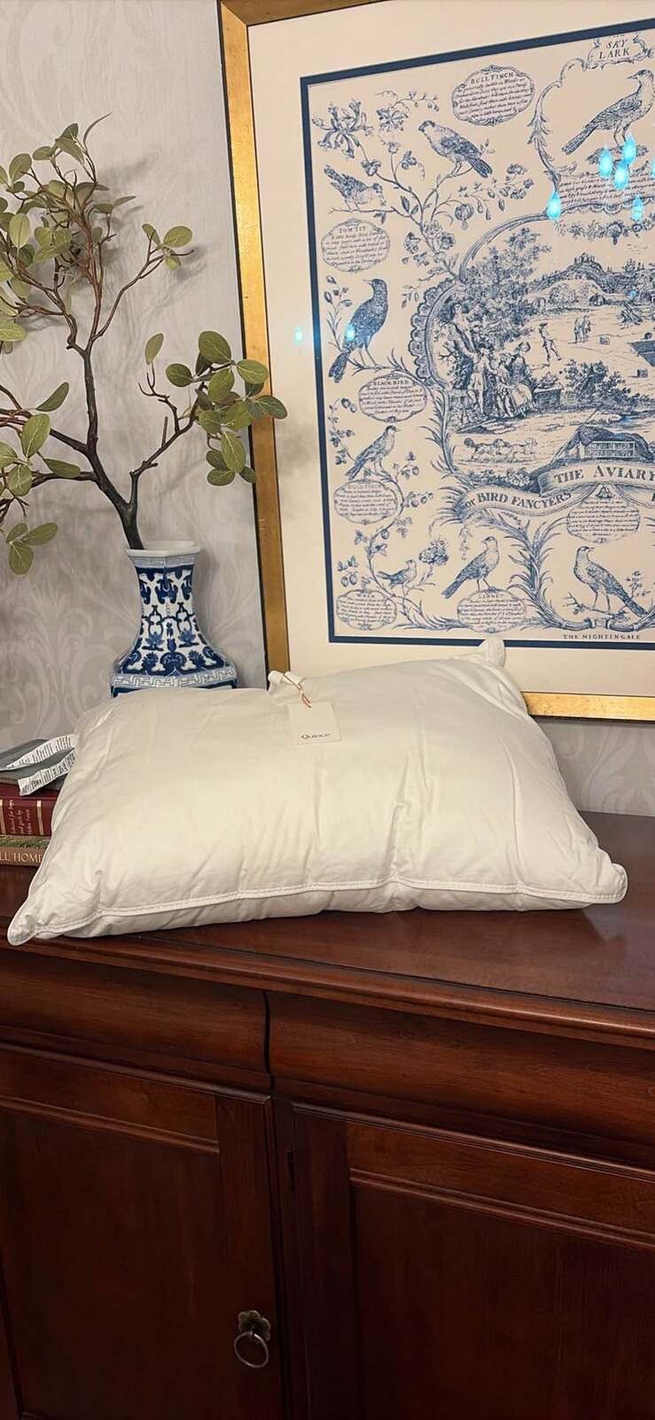 Quince Premium Down Alternative Pillow Standard Soft – White [COPY]
