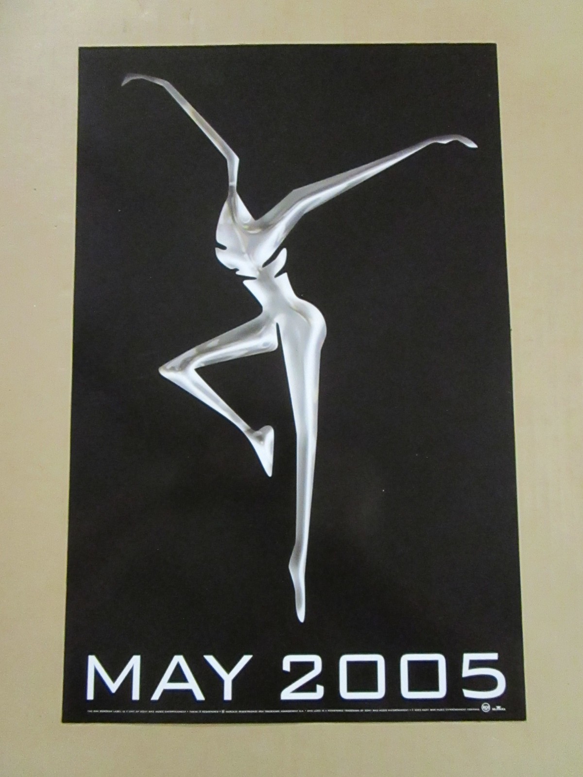 Dave Matthews Band Stand Up Promo Poster New Unused 2005 RCA Rock Folk Alt