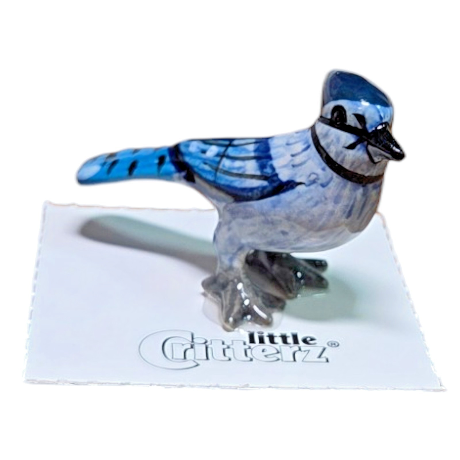 LITTLE CRITTERZ Bird Blue Jay \ LITTLE CRITTERZ Bird Blue Jay \