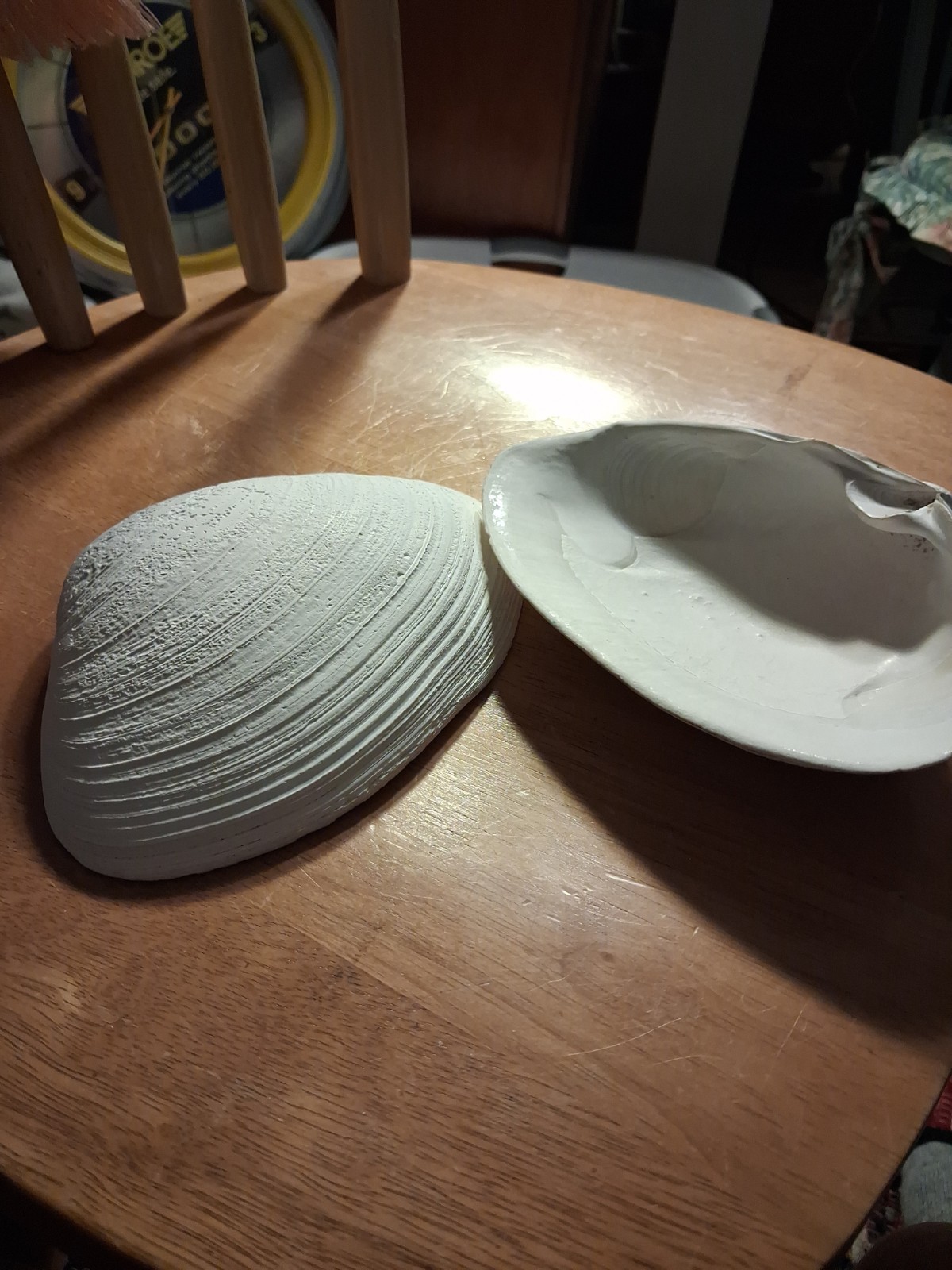 New England Real Giant Clam MATCHING PAIR( Revere Beach Ma. ALTANTIC SURF CLAM New England Real Giant Clam MATCHING PAIR( Revere Beach Ma. ALTANTIC SURF CLAM