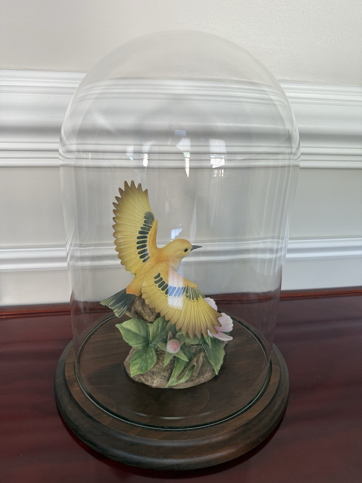 VTG 1988 Hand Blown Glass Cloche Display Dome 12