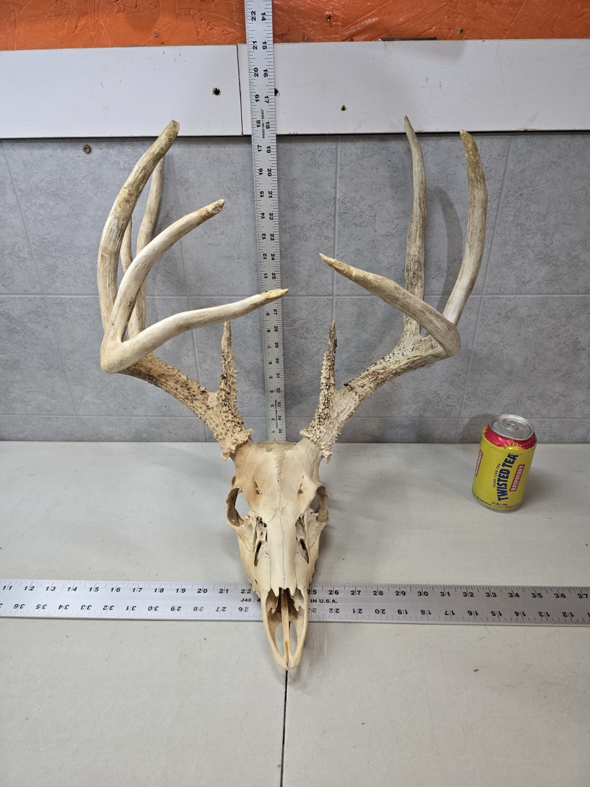 Wild 10 point 156-0\