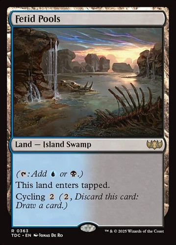 2x Fetid Pools TDC NM MTG 2x Fetid Pools TDC NM MTG