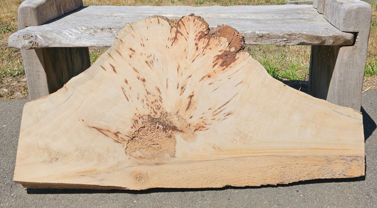 Port Orford White Cedar Slab