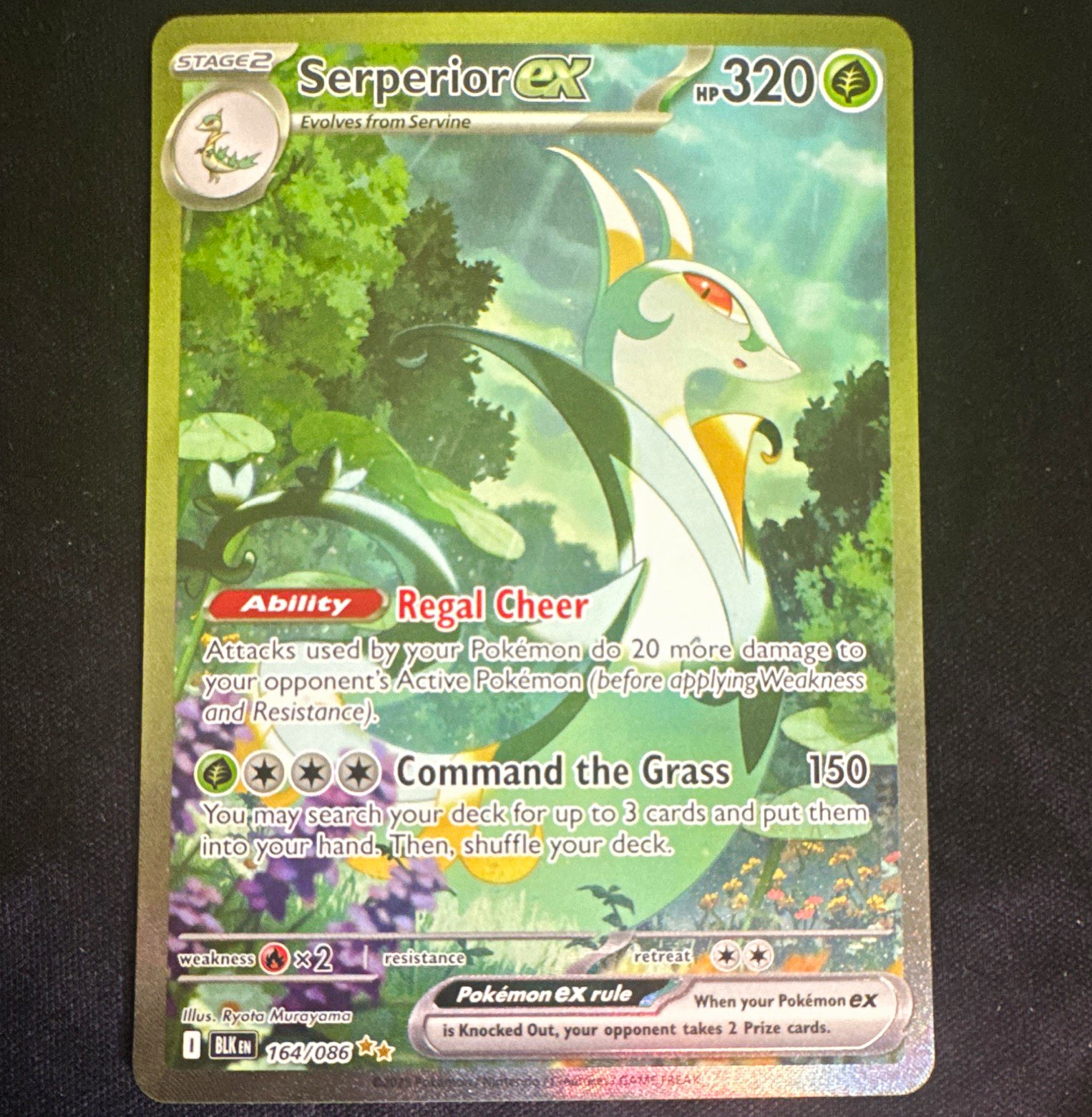Serperior ex 164/086 Sv: Black Bolt Full Art Holo Ultra Rare English 320 HP Serperior ex 164/086 Sv: Black Bolt Full Art Holo Ultra Rare English 320 HP