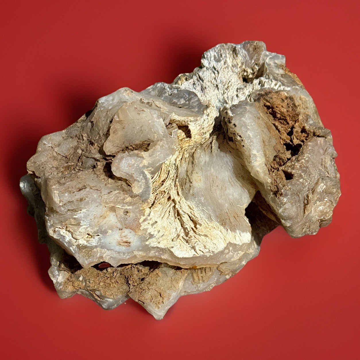Massive 20lb Chalcedony Agate Botryoidal Quartz Display Mineral Specimen