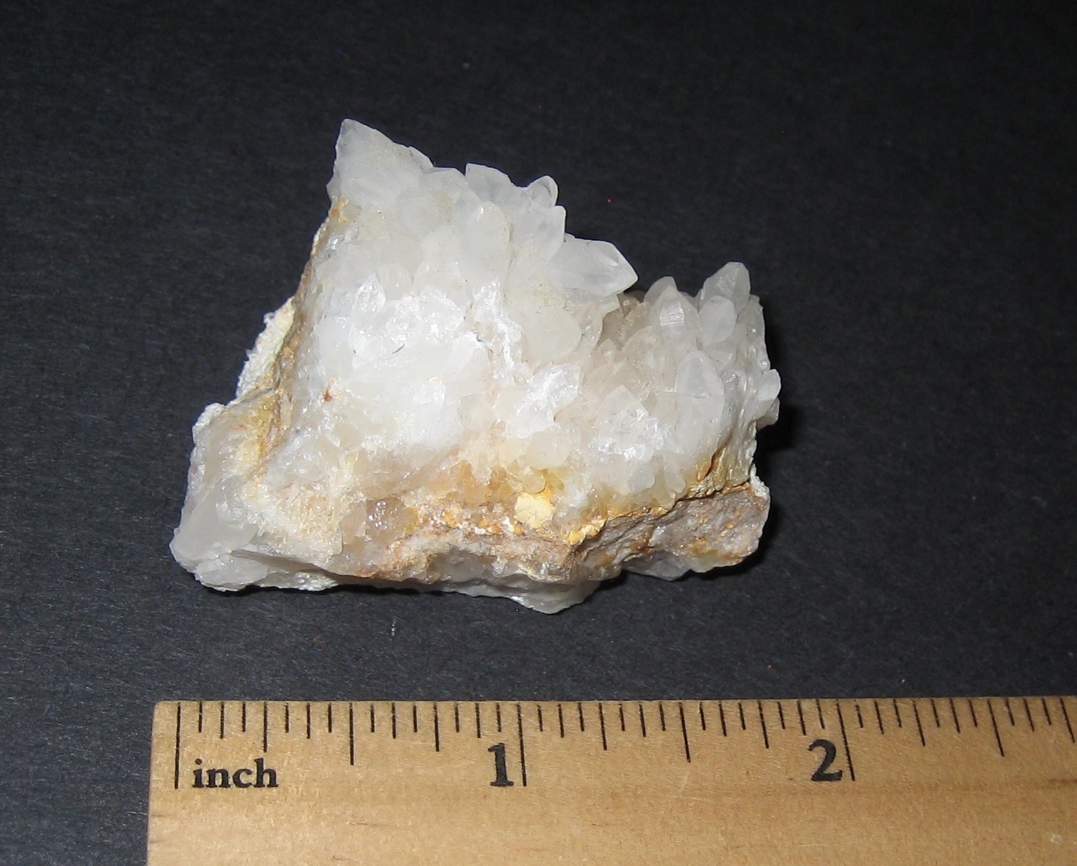 1.5\