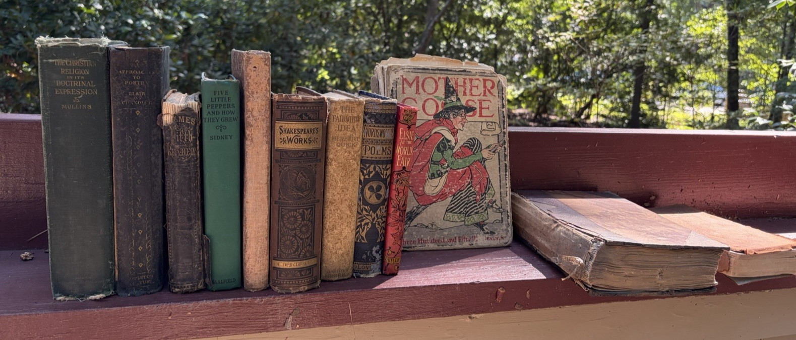 Antique Vintage Book Lot 11 HC Burns Poe Shakespeare Elsie Mother Goose 1800s