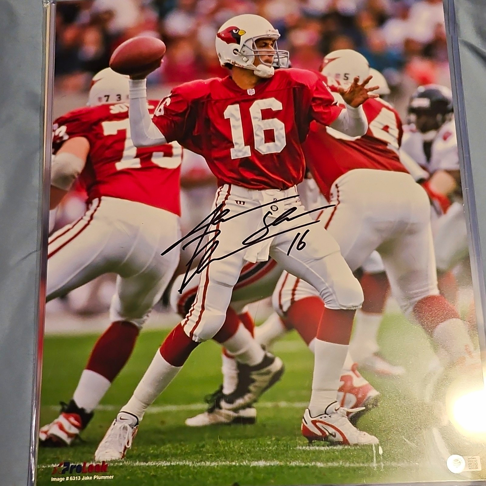Jake Plummer Arizona Cardinals Signed 16x20 Original Photo NFL Football Jake Plummer Arizona Cardinals Signed 16x20 Original Photo NFL Football