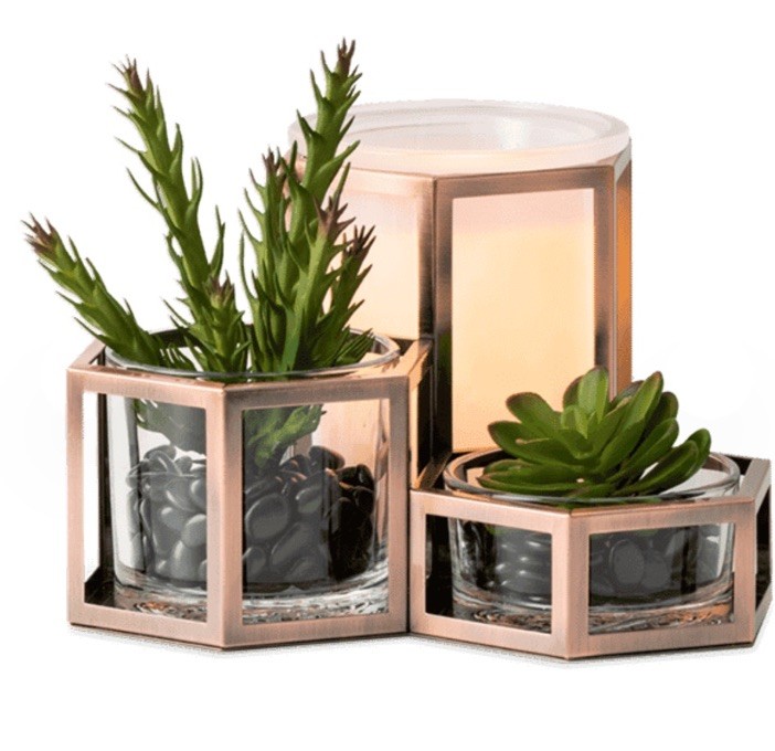 New Scentsy Wild Desert Full Size Warmer CACTUS FAUX SUCCULENTS Stones 5\ New Scentsy Wild Desert Full Size Warmer CACTUS FAUX SUCCULENTS Stones 5\