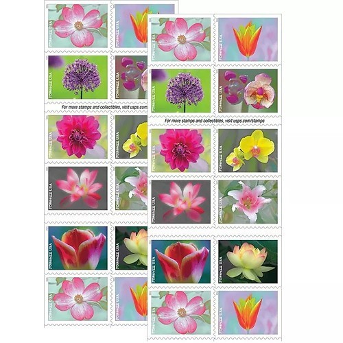 2021 Garden Beauty Scott #5525-5534 MNH Booklet of 20 (5 Booklets - 100 Stamps) 2021 Garden Beauty Scott #5525-5534 MNH Booklet of 20 (5 Booklets - 100 Stamps)