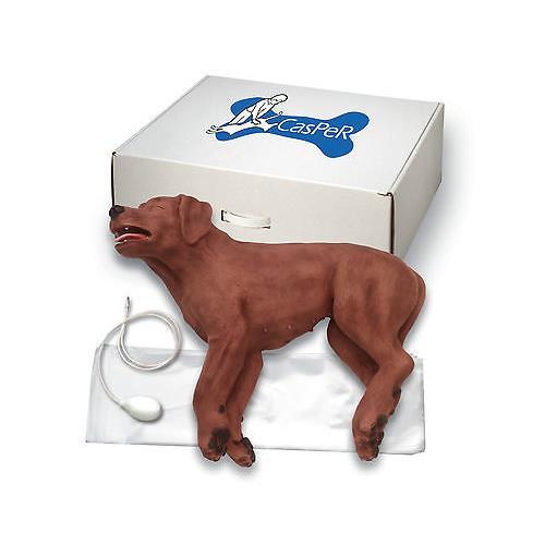 Brand New Simulaids CasPeR The CPR Dog #5000