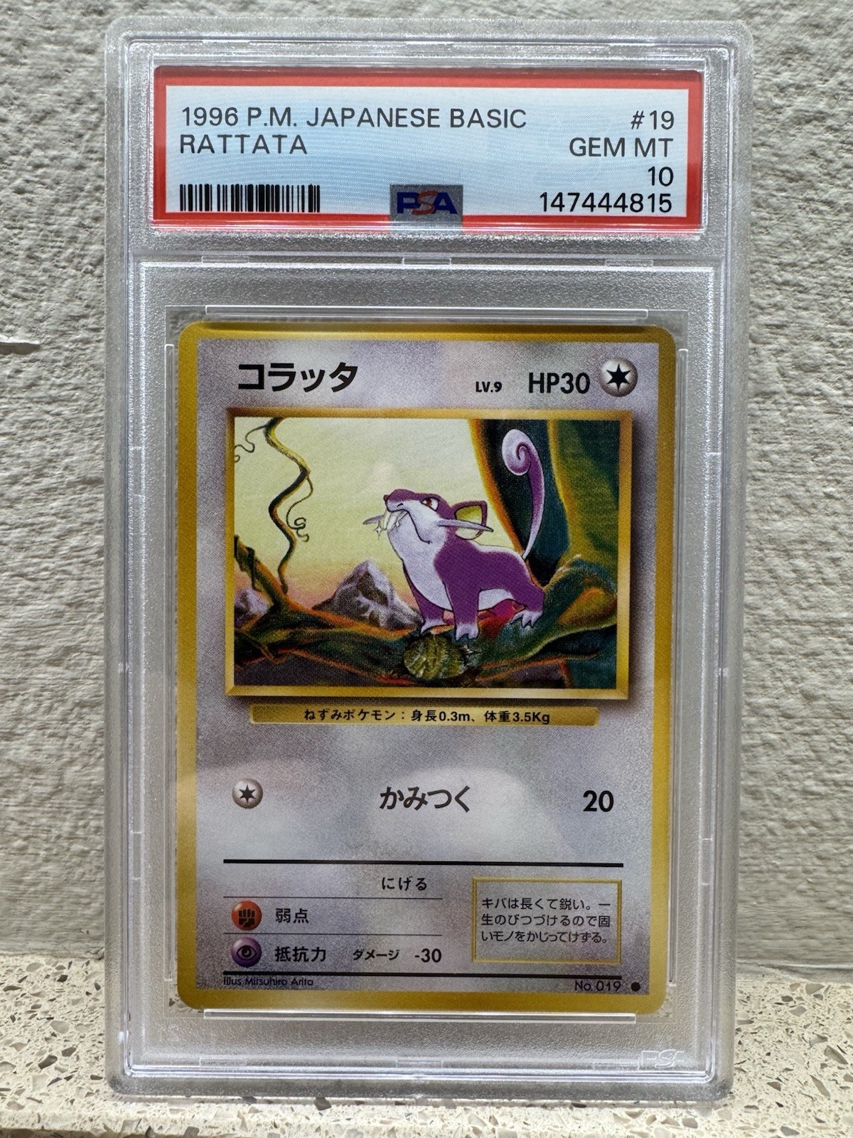 1996 Rattata base Japanese PSA 10 New Cert Pokemon Vintage 1996 Rattata base Japanese PSA 10 New Cert Pokemon Vintage