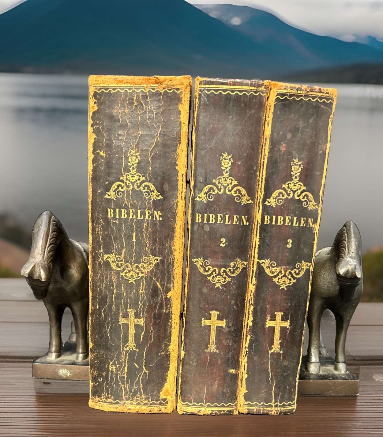 1847 Danish Bible Bibelen 3 Vol Set Kalkar Copenhagen Engravings Leather 1847 Danish Bible Bibelen 3 Vol Set Kalkar Copenhagen Engravings Leather