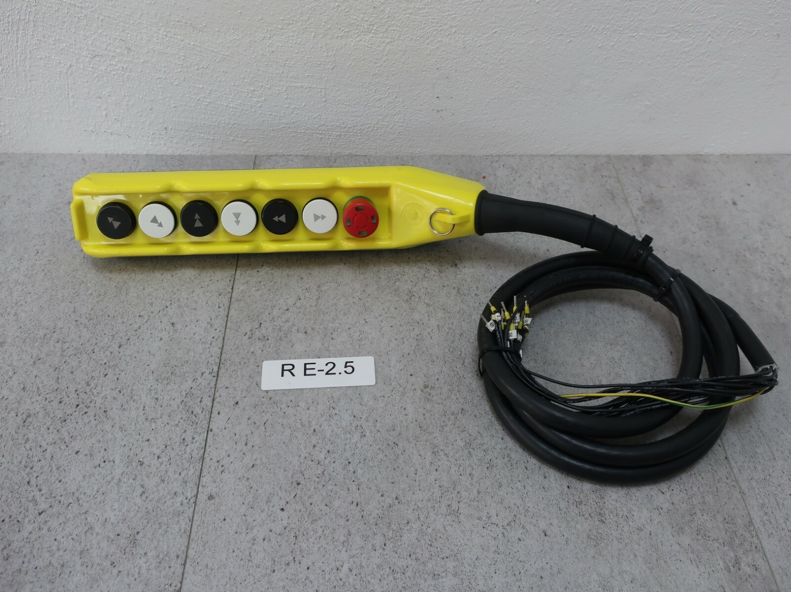Giovenzana International Crane Controller Switch Unit Hanging