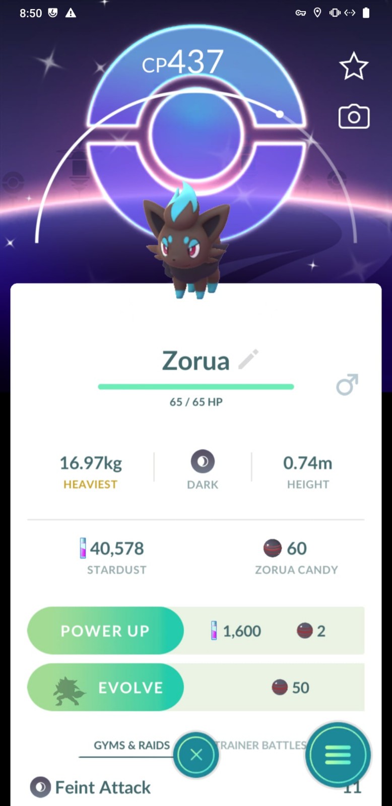 Shiny Zorua Community Day Special Background - Read Description Shiny Zorua Community Day Special Background - Read Description
