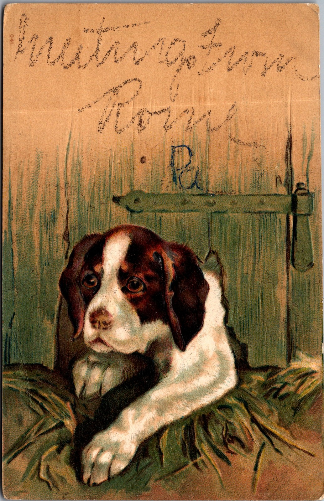 1907 Puppy Dog Postcard Huntington PA Posted Antique