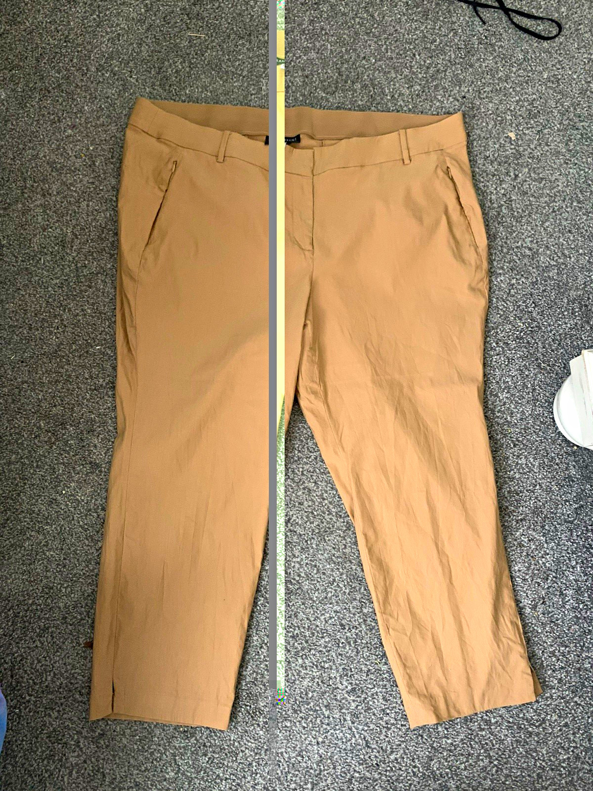 Lane Bryant Beige Stretch Ankle Pants Flat Front Straight Leg Zip Solid Knit 24P Lane Bryant Beige Stretch Ankle Pants Flat Front Straight Leg Zip Solid Knit 24P