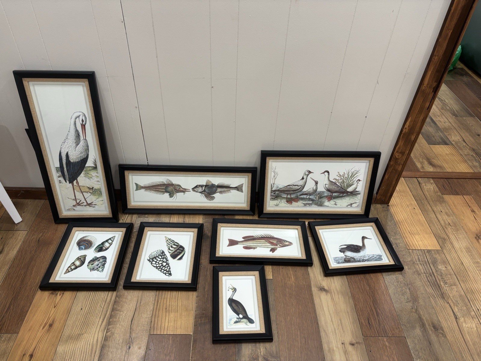 Uttermost Framed Animal Wall Art Print Set Lot of 7 Birds Multicolor Uttermost Framed Animal Wall Art Print Set Lot of 7 Birds Multicolor