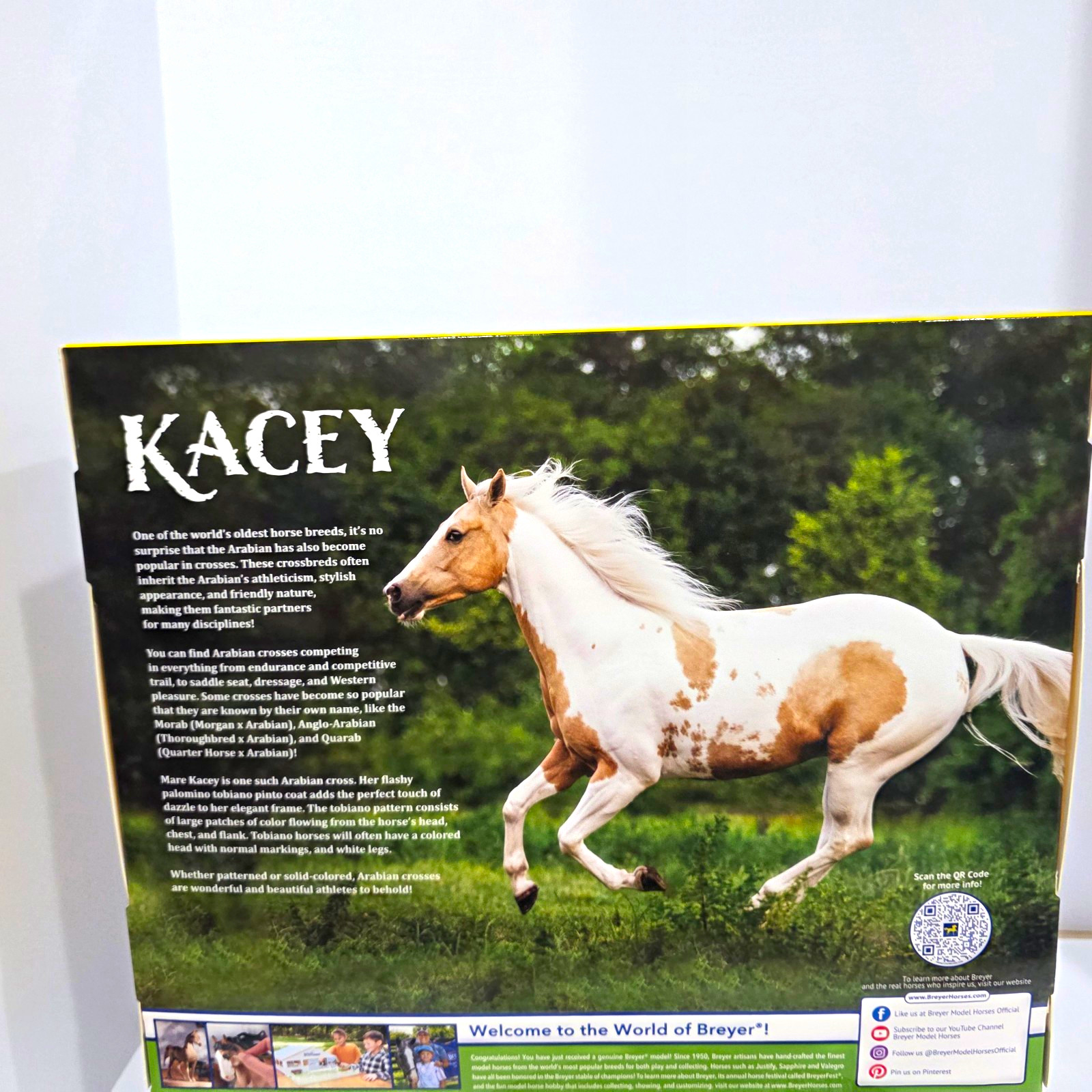 Breyer Horse Kacey Arabian Cross Palimino Model Horse TSC Exclusive 2026 release Breyer Horse Kacey Arabian Cross Palimino Model Horse TSC Exclusive 2026 release