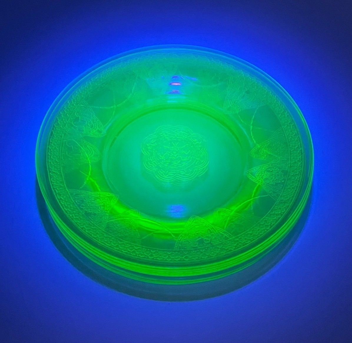 Vtg Federal Green Uranium Glass Georgian Lovebirds Dinner Plates 9.5\