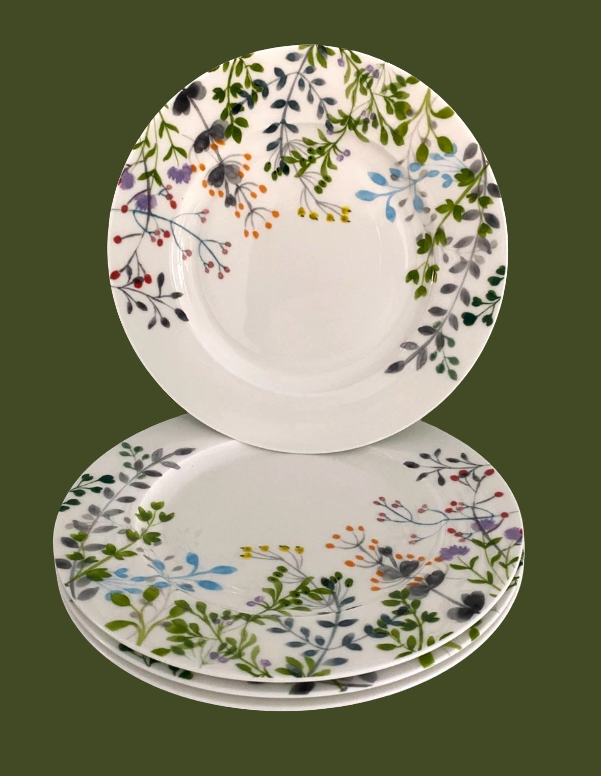 NEW Mikasa Tivoli Garden Set of 4 Salad Plates 9\
