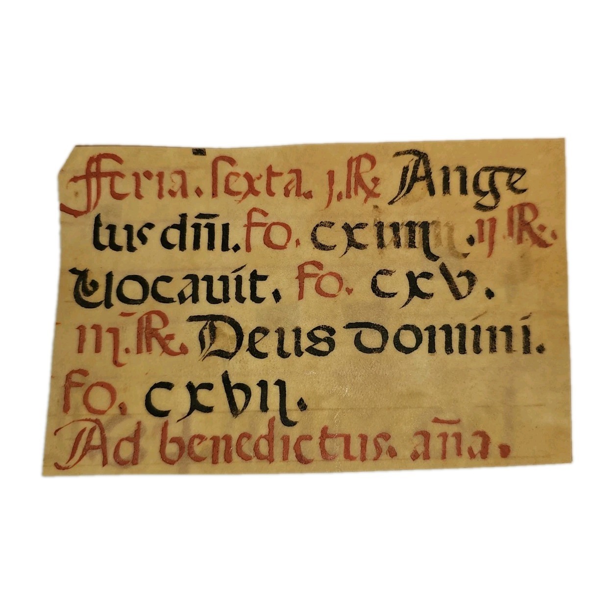 C.1400-1500 Medieval Latin Vellum Manuscript Gregorian Chant Antiphoner Leaf
