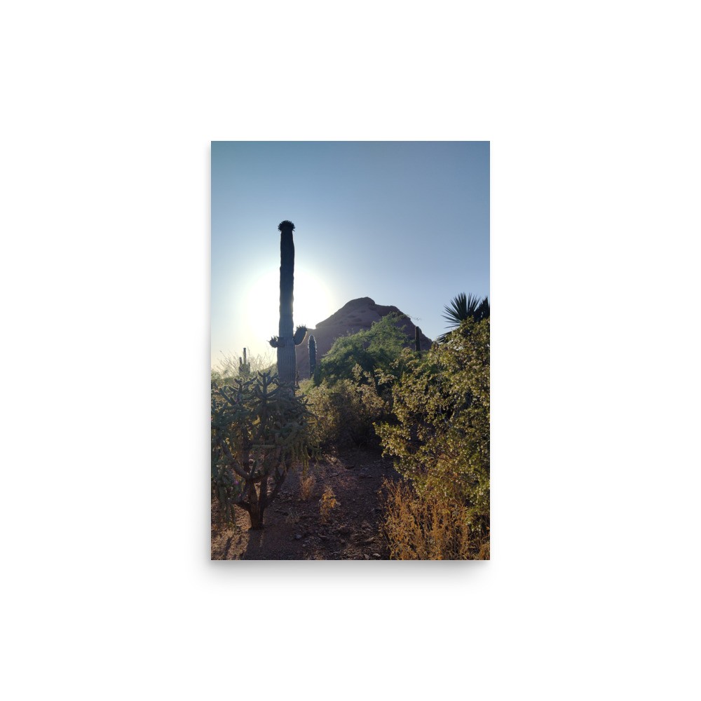 Desert Saguaro Sunset – Arizona Western Landscape Photography Print Desert Saguaro Sunset – Arizona Western Landscape Photography Print