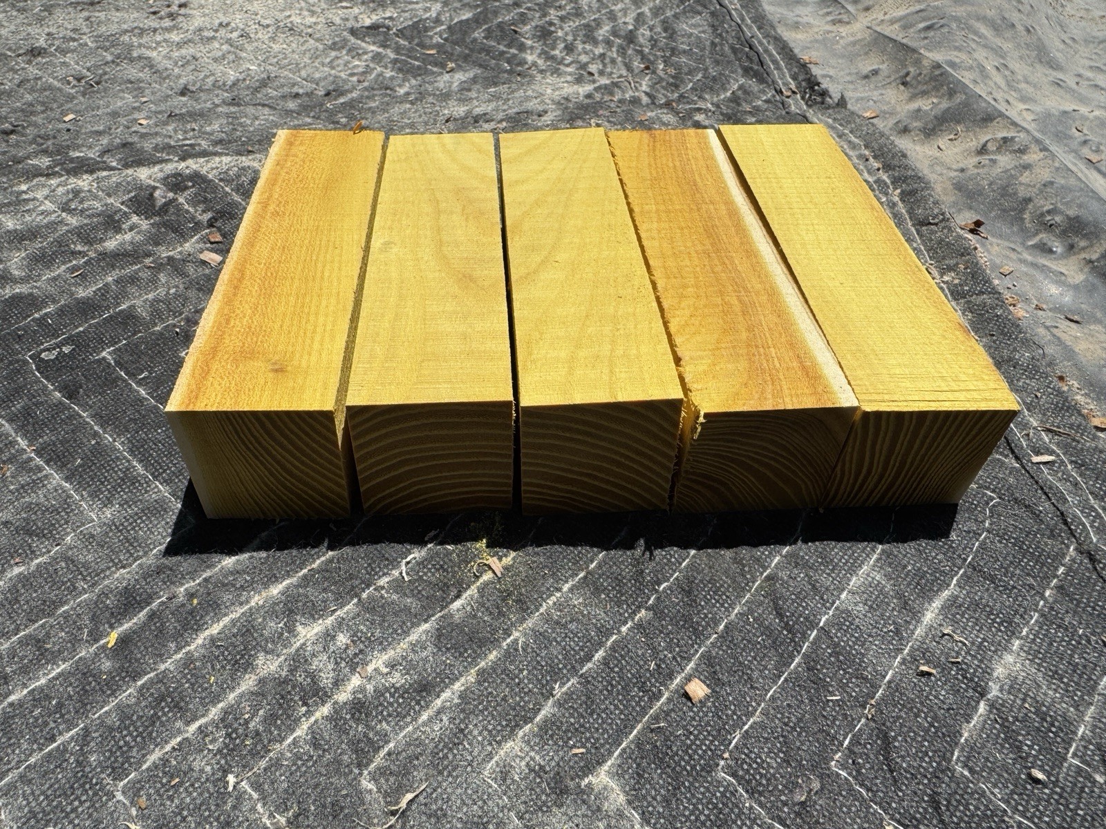 5 PC  Osage Orange Turning Call Blanks 1 1/2 X6 NICE COLORS