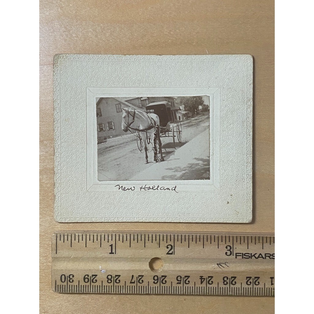 Late 1800s Cabinet Card Photo of Horse Drawn Carriage New Holland PA Dirt Road