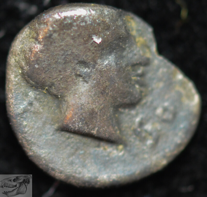 Troas, Kebren, AR Hemiobal, 410-310 BC, Apollo, Rev Ram\'s Head, Sear 4071, C5847