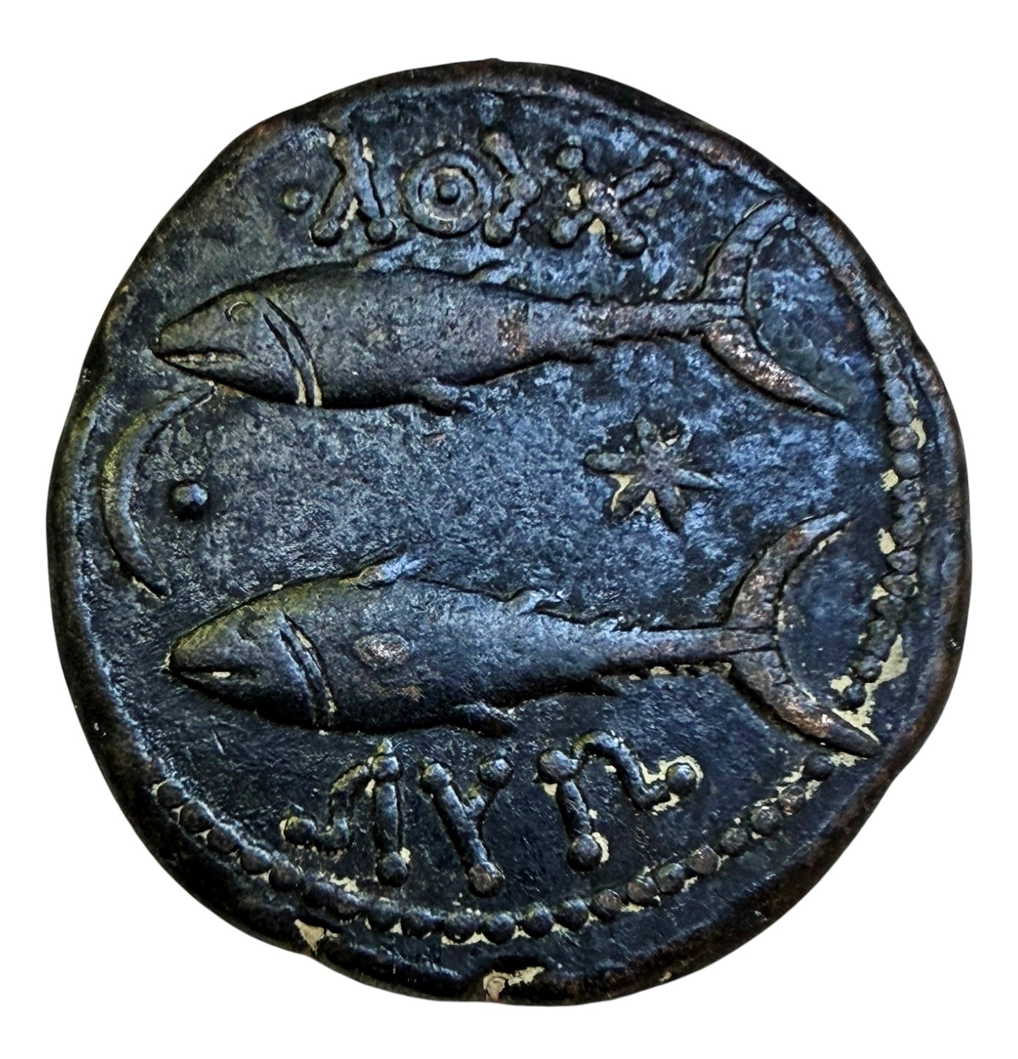 Ancient Phoenician Coin, Gades Iberia, Spain 100 - 20 BC Heracles and Tuna