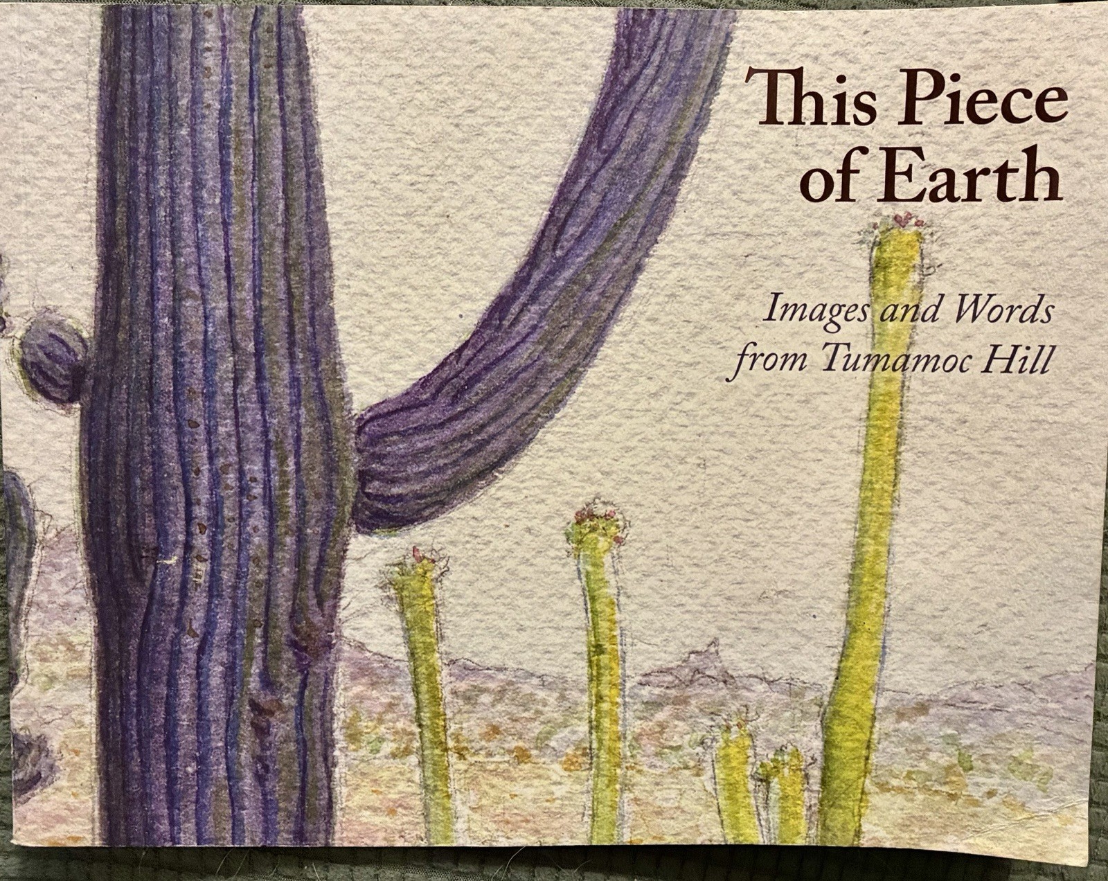 This Piece of Earth This Piece of Earth