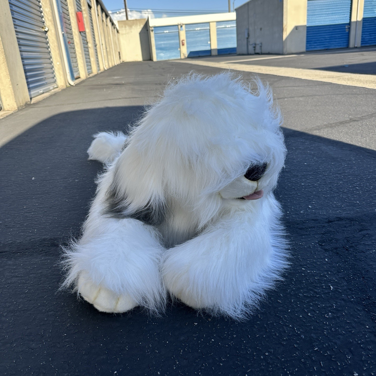 Rare Realistic 48” Costco Giant Old English Sheepdog Plush Stuffed Animal RETIRE Rare Realistic 48” Costco Giant Old English Sheepdog Plush Stuffed Animal RETIRE