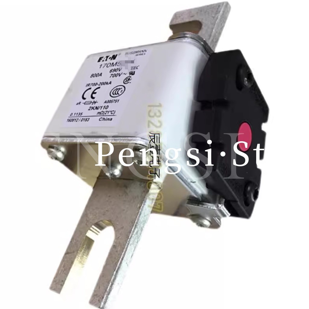 1pc New Fuse 170M5289 *vm