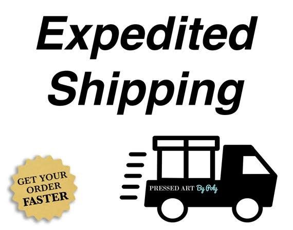 expedite shipping expedite shipping