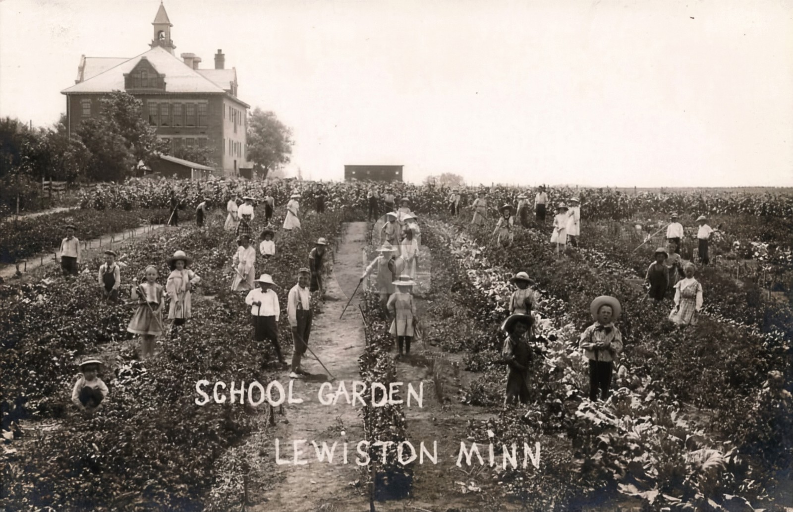 Lewiston Minnesota School House & Garden 1914 RPPC Photo Postcard COPY Lewiston Minnesota School House & Garden 1914 RPPC Photo Postcard COPY