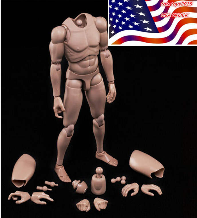 MX02-A 1/6 Movable Europe Skin Men\'s Body Figure Body Model Fit 12\ MX02-A 1/6 Movable Europe Skin Men\'s Body Figure Body Model Fit 12\
