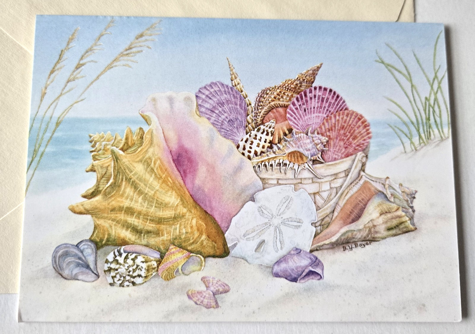 Greeting Card Blank Cape Shore Ocean\'s Bounty Seashells Shells Sand Dollar Greeting Card Blank Cape Shore Ocean\'s Bounty Seashells Shells Sand Dollar
