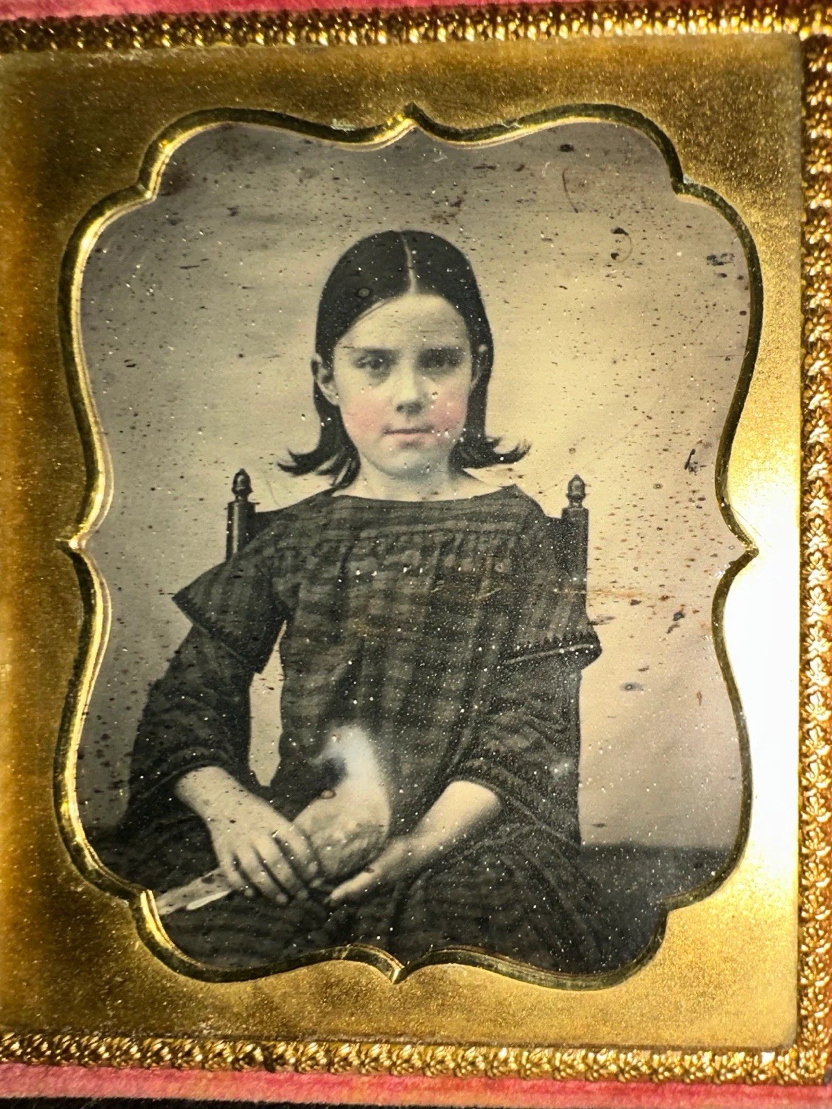 Little Girl Holding a Bird - Pigeon or Mourning Dove 1/6 Daguerreotype Rare Little Girl Holding a Bird - Pigeon or Mourning Dove 1/6 Daguerreotype Rare