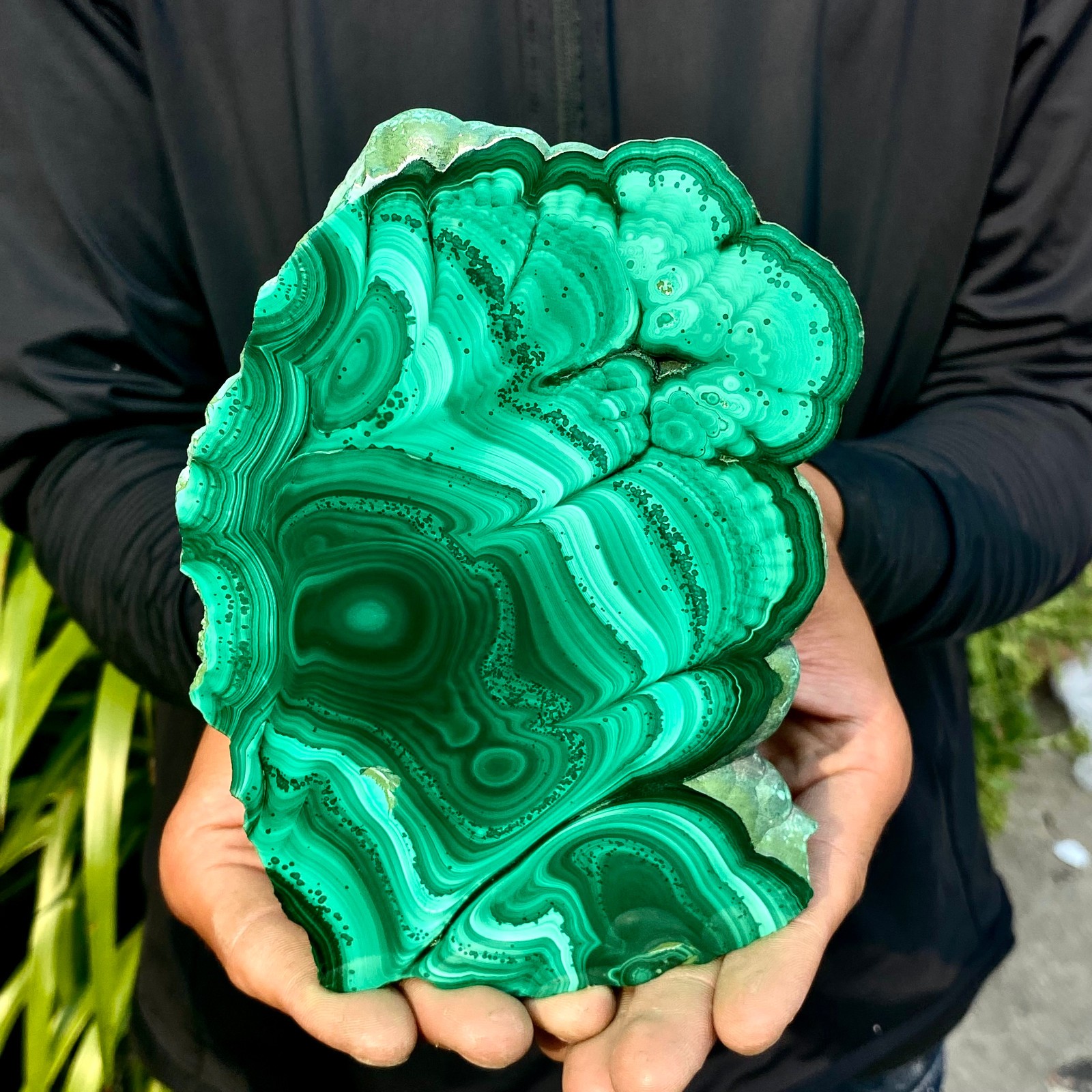 1.72LB Natural malachite slice quartz crystal luster mineral specimen