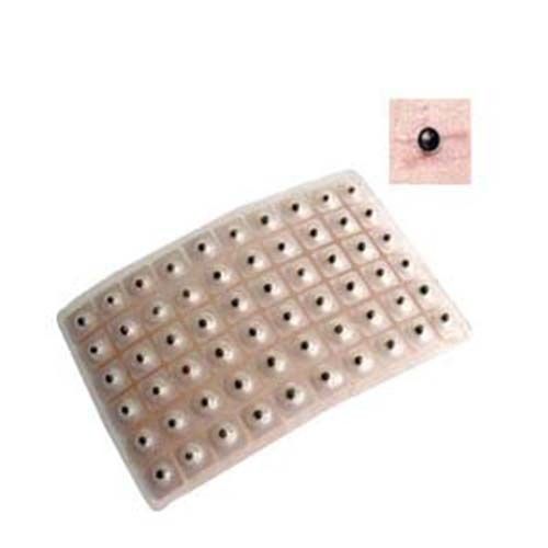 New Acupuncture Vaccaria Ear Seeds 120 pcs with English Ear Chart (  US Seller )
