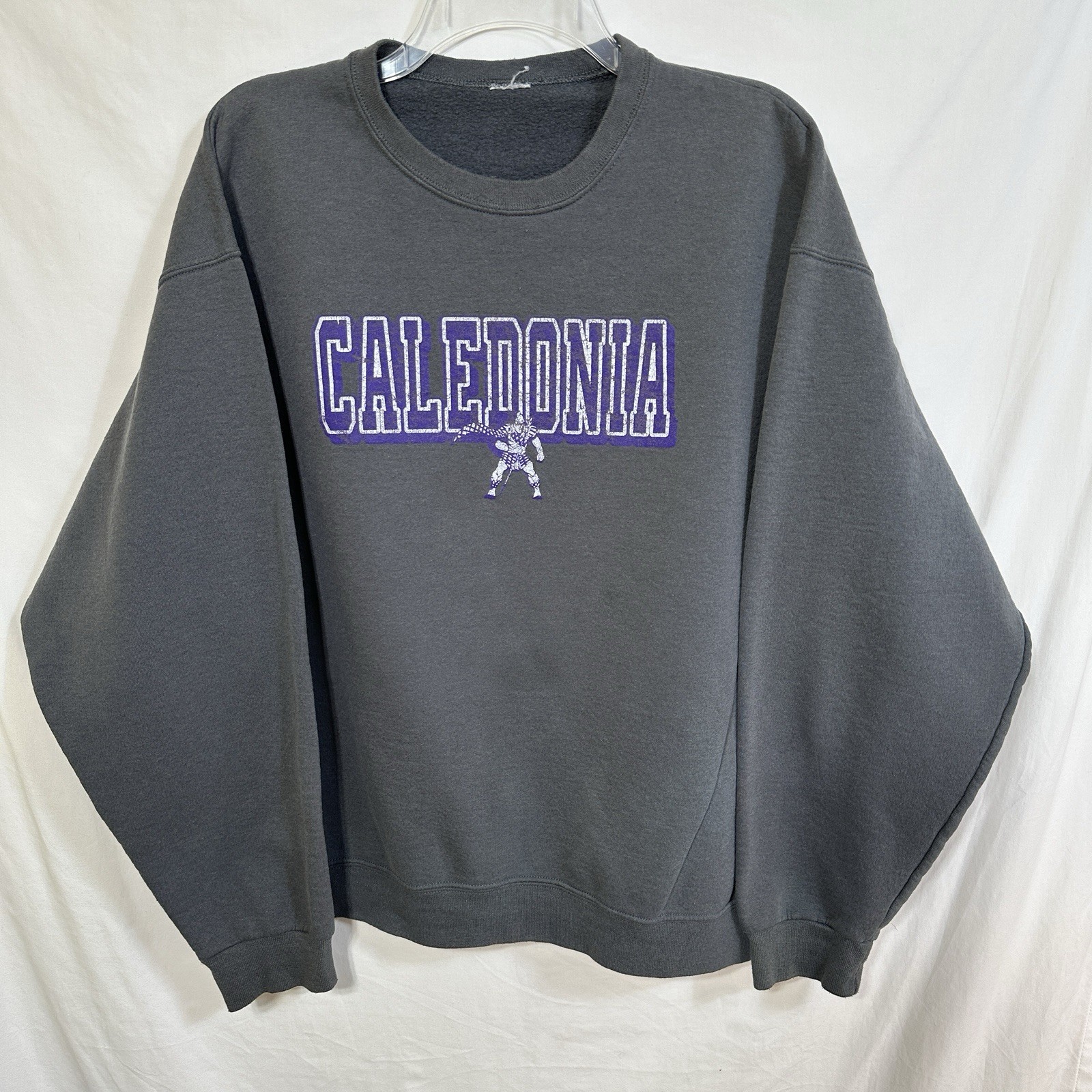 Vintage Caledonia XL Gray Crew Neck Sweatshirt Purple White Text Long Sleeve