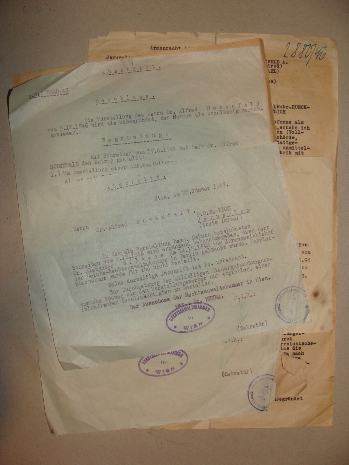 Germany Document Palestine Jewish Judaica 1946 Post WWII Austria German Israel Germany Document Palestine Jewish Judaica 1946 Post WWII Austria German Israel