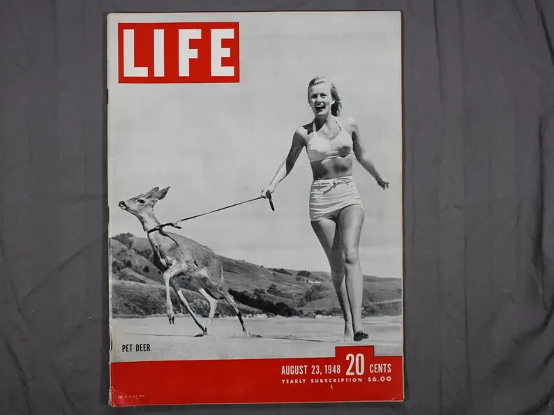 Life Magazine Aug 23, 1948 Pet Deer
